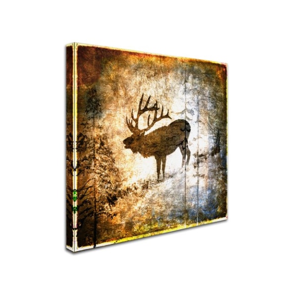LightBoxJournal 'High Country Elk' Canvas Art,24x24